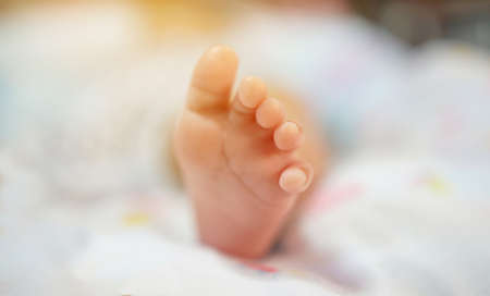 Baby's feet,newborn                                の写真素材