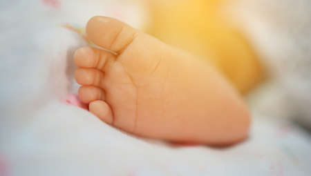 Baby's feet closeup photoの写真素材
