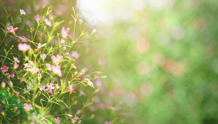 Shiny flower background. Blooming on meadow                                