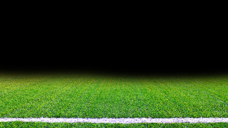 Detailed green soccer field grass texture