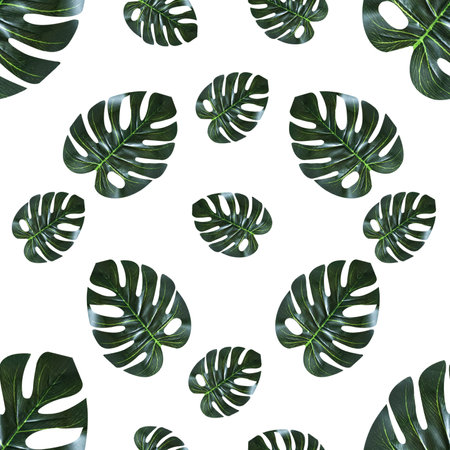 Seamless pattern green tropical leaves.の写真素材