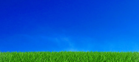 Green grass field with against blue skyの写真素材