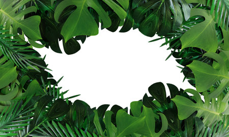 Tropical palm leaves background. Flat lay. Nature conceptの写真素材