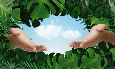 Hand holding cloud with Tropical palm leaves background. Environment Conceptの写真素材