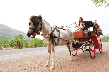 Young woman riding in horse carriageの写真素材