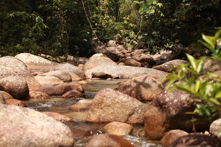 Streamの写真素材