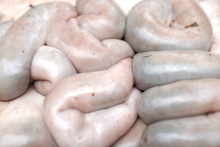 Cow's intestinesの写真素材