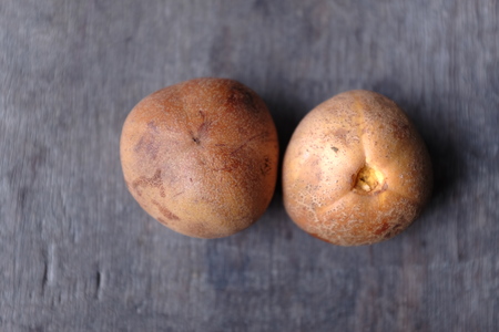 Baccaurea macrocarpaの写真素材