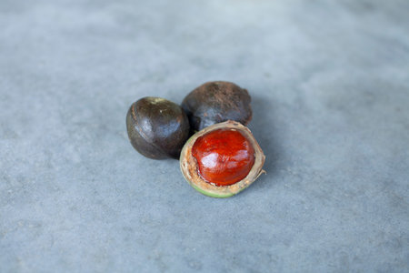 Djengkol nut in it's shell, placed on cement concrete floor.