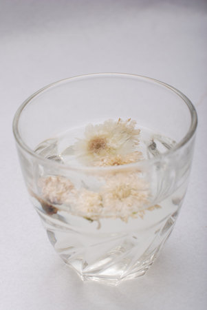 Glass of thirst-quenching chrysanthemum teaの写真素材