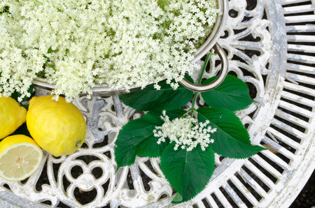 preparation of elderberry juice ingredients of elderflower and lemon, preparation on the old tableの写真素材
