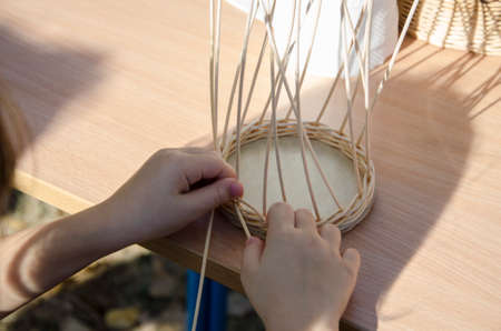 handmade basket from pedigo, view of young hands, workshop, close upの写真素材