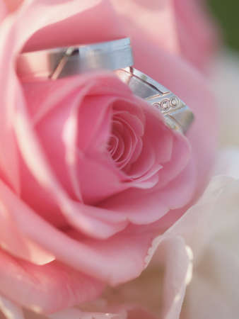 still life with wedding bouquet and wedding ringsの写真素材