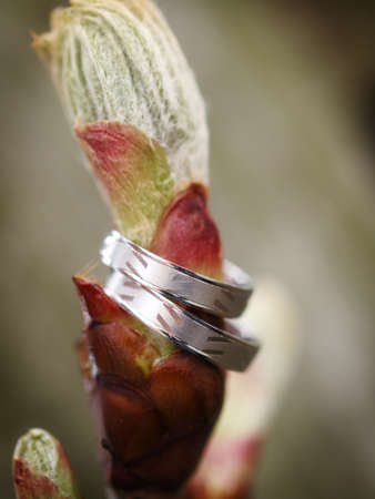 still life with wedding ringsの写真素材