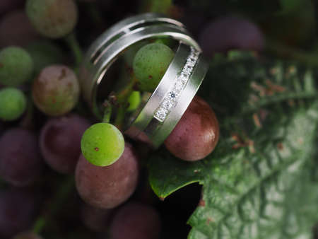 still life with wedding ringsの写真素材