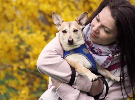 adult nice woman walks the small dog in springtimeの写真素材