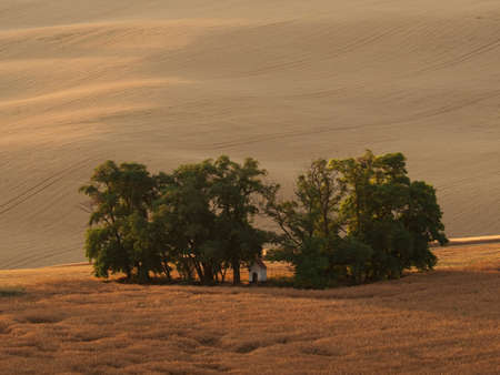 Rolling fields after harvest with drawers of trees and chapel in South Moravia, Czech Republicの写真素材