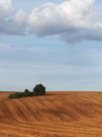 Rolling fields after harvest with drawers of trees in South Moravia, Czech Republicの写真素材