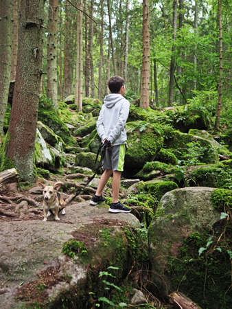 Young boy woman the small dog in summer forestの写真素材