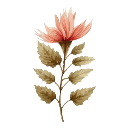 flower element watercolor weddingの素材