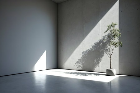 room Empty concrete texture background with shadowの素材