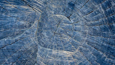 A wood cross section with morning sunshineの素材