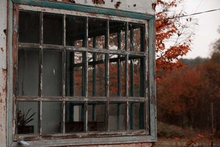 Wooden Windows Old Rustic House Background Autumn Forest