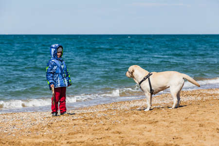 A child in winter clothes plays with a Labrador dog on the beachの写真素材