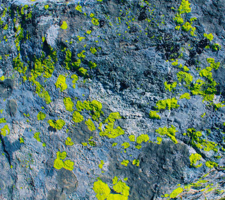 Texture natural background stone amd mossの写真素材