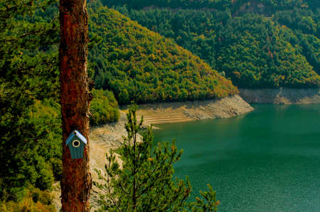 Birdhouse on a tree in the forest in front of a lake in a sunny dayの写真素材