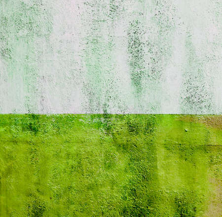 colorfull vibrant outdoor bumpy fresh green vintage wall textureの写真素材