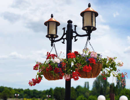 garden park outdoor lights decor with hanging blooming geranuim in fresh bright and sunny spring dayの写真素材