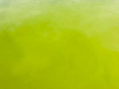 green still water texture background in brigt day lightの写真素材