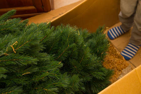 close up christmas tree inside the box with baby.JPG
