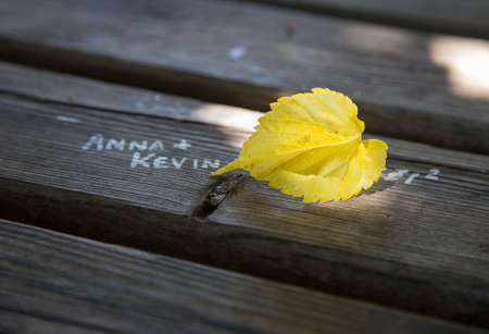 Close-up of yellow leaf on bench with inscriptionの写真素材