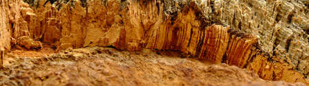 closeup cork landscape with background