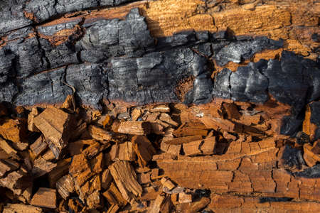 texture of burnt wood chipsの写真素材