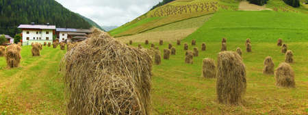 Austrian countryside landscape with hay balesの写真素材