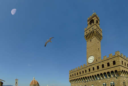 View old florence palace with bird in flightのeditorial素材