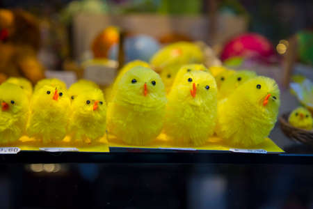 funny image of many puppies of yellow chicks photographed in a shopの写真素材