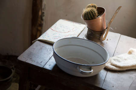 horizontal image with detail of a white bowl and a seedling photographed on an old table