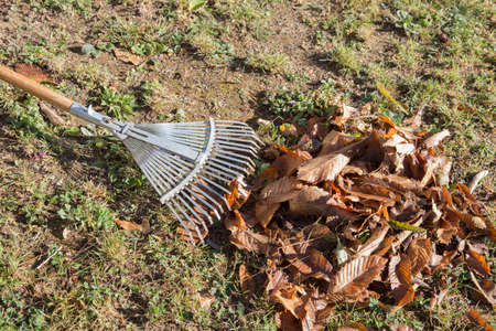 horizontal image with detail of a rake for gathering dried leaves photographed in a gardenの写真素材