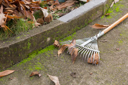 horizontal image with detail of garden tools to collect dry leavesの写真素材