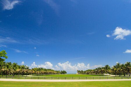 Miami Beach Key Biscane, FLのeditorial素材