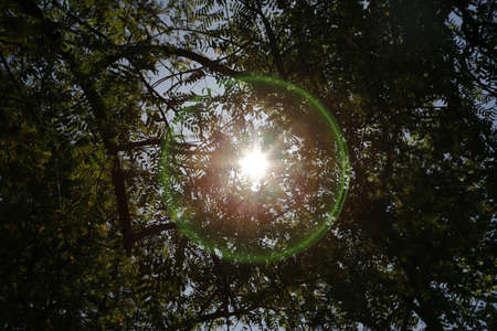 Sunlight Ringの写真素材
