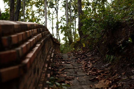 path leading off into the distance