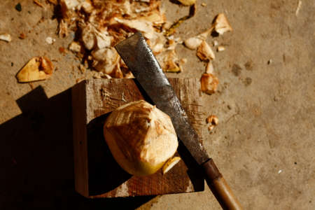 Freshly picked coconut opened with a machete ready to drink the water and eat the flesh