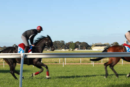 thoroughbred racehorses training on a horse track in preperation for an international horse race on an early morning, Friday 18th of October 2019, Melbourne, Victoriaのeditorial素材