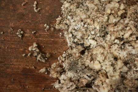 piles of freshly shorn wool scattered on the timber floor of the family farm woolshed shearing shed, rural Victoria, Australiaの写真素材