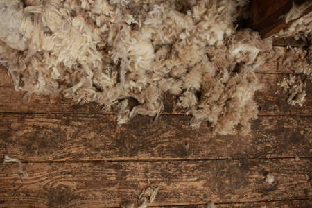 piles of freshly shorn wool scattered on the timber floor of the family farm woolshed shearing shed,...